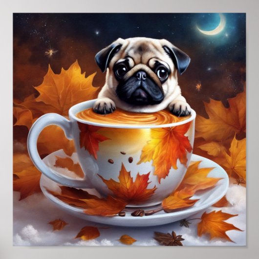 Poster carlin (Devant)