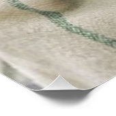 Poster Carlin (Coin)