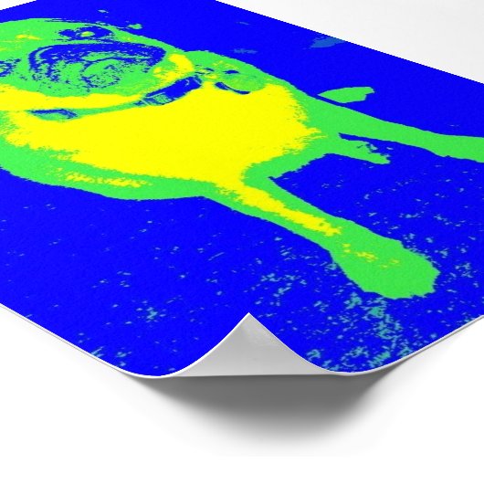 Poster carlin (Coin)