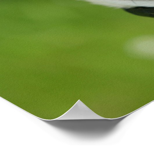 Poster Carlin (Coin)