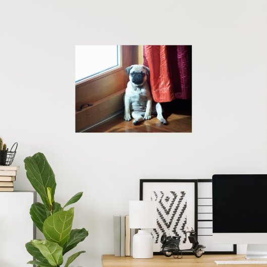 Poster carlin (Bureau à domicile)