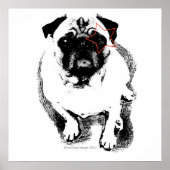 Poster carlin (Devant)