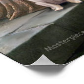 Poster Carlin 5 (fawn) - L'Accolade (Coin)