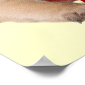 Poster Carlin A Christmas Star Print (Coin)