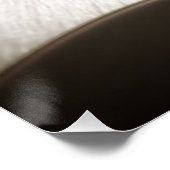 Poster carlin à regarder en bw (Coin)