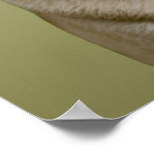 Poster Carlin Apple (Coin)