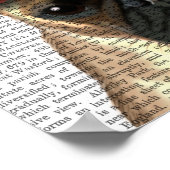 Poster Carlin avec poitrine rouge sur la tête (Coin)