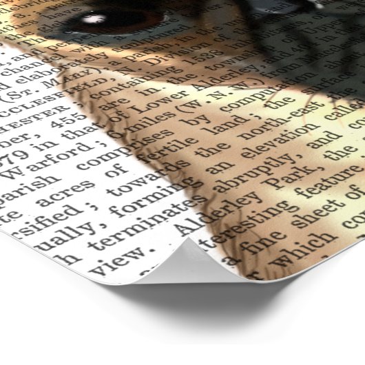 Poster Carlin Avec Tiara (Coin)