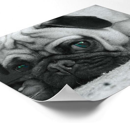 Poster Carlin "Breena" (Coin)