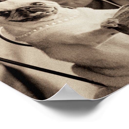 Poster Carlin Café (Coin)