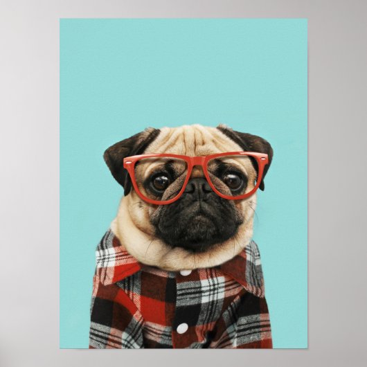 Poster Carlin Chemise Plaid (Devant)