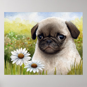 Poster Carlin Chien 114 Maisies