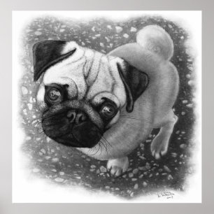 Poster Carlin Chien Chien