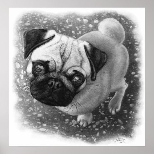 Poster Carlin Chien Chien (Devant)