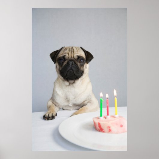Poster Carlin d'anniversaire (Devant)