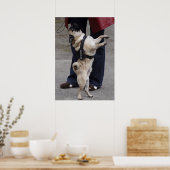 Poster Carlin hors contrôle (Cuisine)