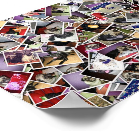 Poster carlin Life (Coin)