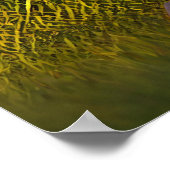 Poster Carlin mignon avec coeur (Coin)