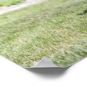 Poster Carlin noir debout regarder la caméra (Coin)