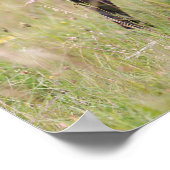 Poster Carlin noir Sticking Out Tounge (Coin)