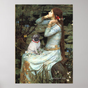 Poster Carlin (petit fauve) - Ophélie