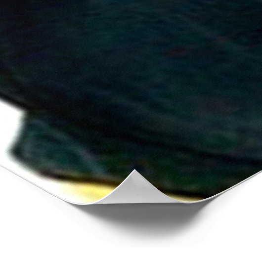 Poster Carlin pompier (Coin)