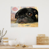 Poster Carlin Puppy Black Face (Cuisine)