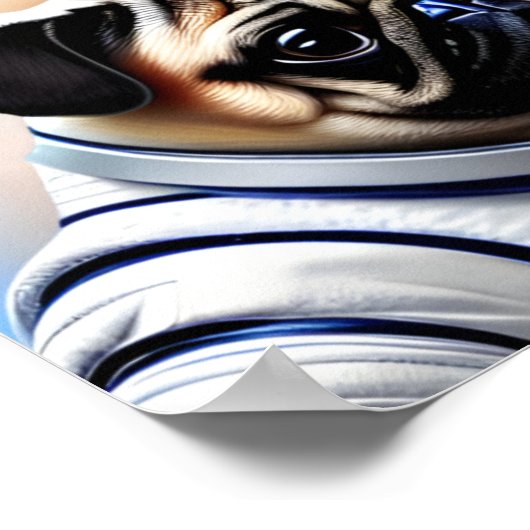 Poster Carlin spatial (Coin)