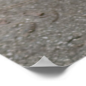 Poster Carlin très sérieux (Coin)