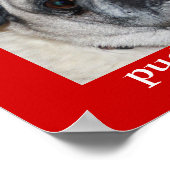 Poster carlins & Baisers (Coin)