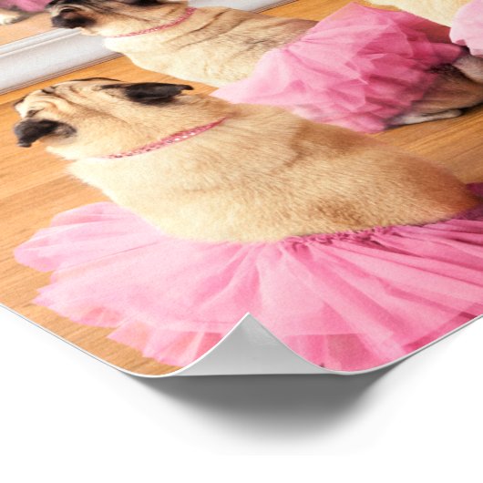 Poster Carlins Ballerina En Tutus (Coin)