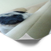 Poster Carlins miroir (Coin)