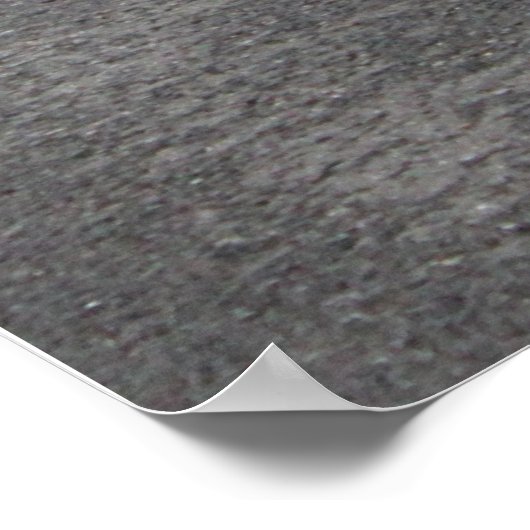 Poster Carlos Sastre (Coin)