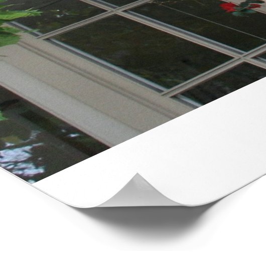 Poster Carmel en fleurs (Coin)