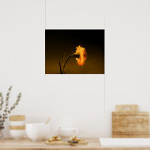 Poster carnation (Cuisine)