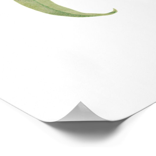 Poster Carnation Flower Imprimer par Pierre-Joseph Redout (Coin)