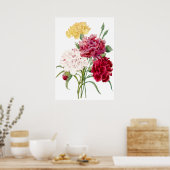Poster Carnation Flower Imprimer par Pierre-Joseph Redout (Cuisine)