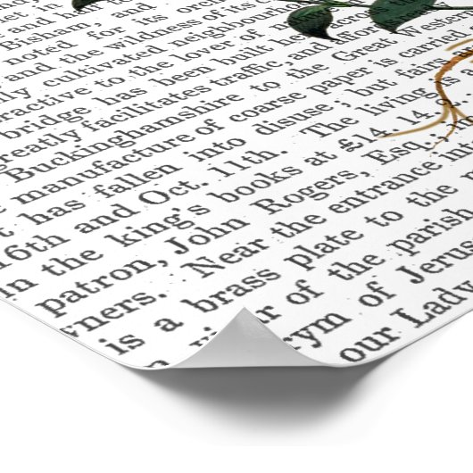 Poster Carnation italienne (Coin)