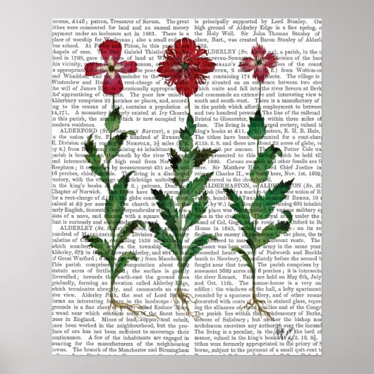 Poster Carnation italienne 1 (Devant)