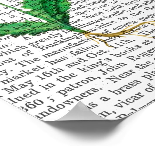 Poster Carnation italienne 2 (Coin)