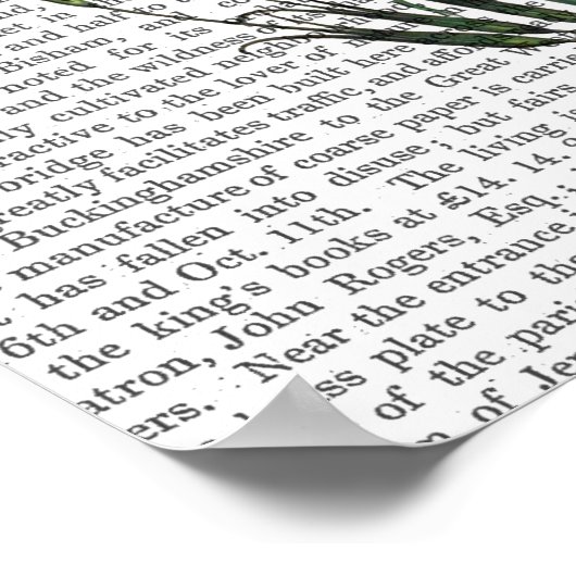 Poster Carnation italienne 4 (Coin)