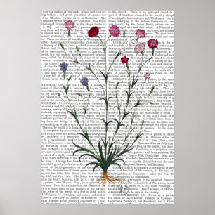 Poster Carnation italienne 5