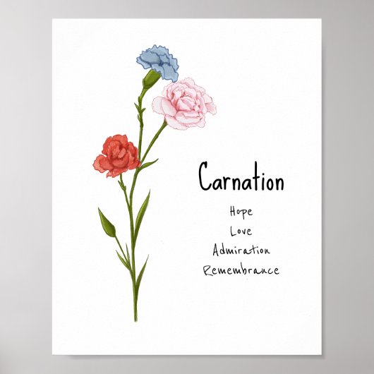 Poster Carnation Janvier Fleur de naissance aquarelle Art (Devant)