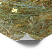 Poster Carnation, Lily, Lily, Rose Par John Singer Sargen (Coin)