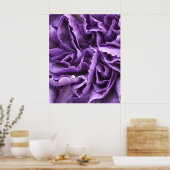 Poster Carnation pourpre (Cuisine)