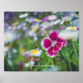 Poster Carnation rose avec marguerites (Devant)