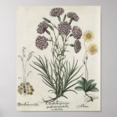 Poster Carnations (Devant)