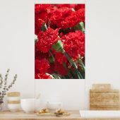 Poster Carnations rouges (Cuisine)