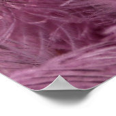 Poster carnaval (Coin)