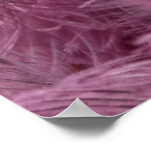 Poster carnaval (Coin)